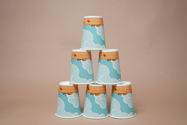 Paper Products C