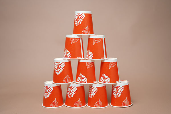Paper Products D